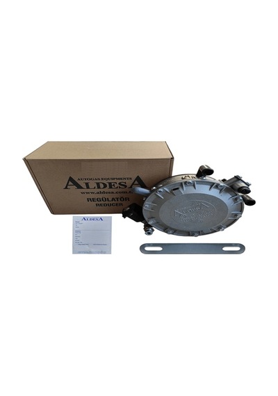 Aldesa-karburatorlu-regulator-beyin