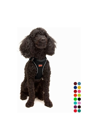 Tailpetz Air-mesh Küçük Ve Orta Irk Kedi Köpek Göğüs Tasması - Yumuşak, Nefes Alabilir, Dayanıklı Siyah, Xsmall Sku: Zeusb082kxq9fs Açık Bej - Bej
