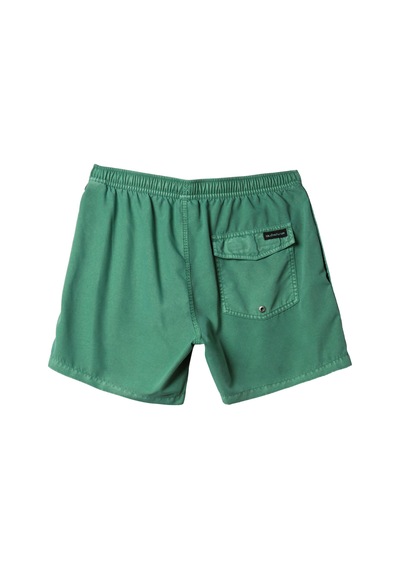 Quiksilver Everyday Surfwash Volley 15 Renklı