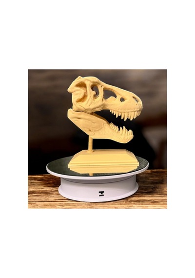 3d T-rex Kafatası Ahşap Filament Dekoratif - Hediyelik Figür