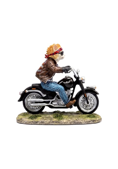 Motosikletli Minyatür Asi Kedi Biblosu Biker Cat