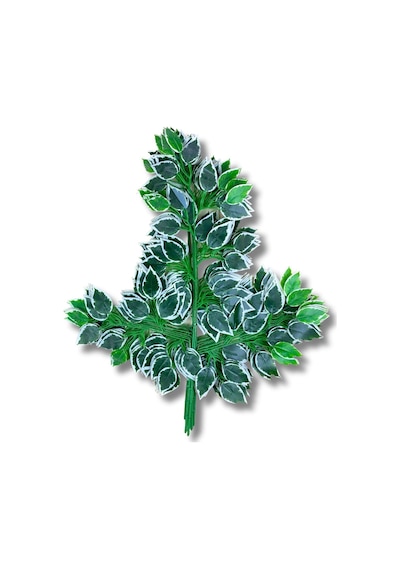 Cihan Çiçekçilik Yapay Çiçek Demet Ficus Dalı 12 Adet 65 Cm Yeşil