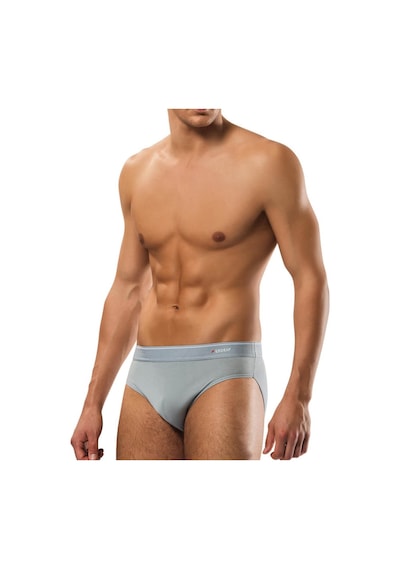 Erdem Erkek Pamuklu Külot Elastan Lastikli Slip 3'lü Paket 1340 Gri