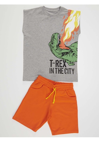Denokids Mshb&g T-Rex Alev Erkek Çocuk T-Shirt Şort Takım Çok Renkli