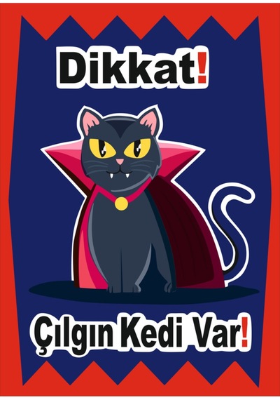 Dikkat Kedi Var 25x35 Cm Galvaniz Saç 0,4 Mm
