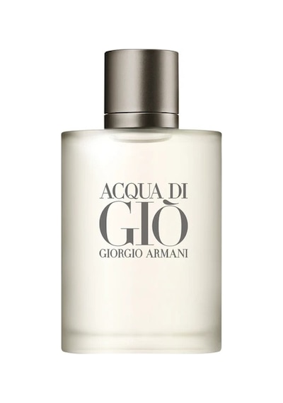 Giorgio Armani Acqua Di Gio Edt 100 Ml Erkek Parfüm Diğer
