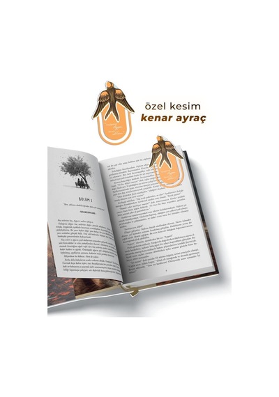 Tozlu Pembe 2 Tek Kitaplık Kutu