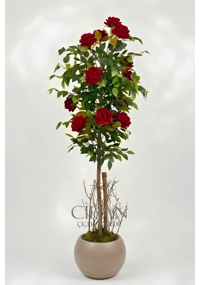 Yapay 10 Güllü Kırmızı Gül Ağacı 150 Cm 27x33 Mocha Küre Saksılı Beyaz
