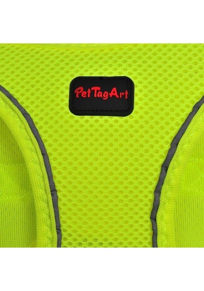Pettagart Airmesh Neon Sarı Göğüs Tasması Turuncu