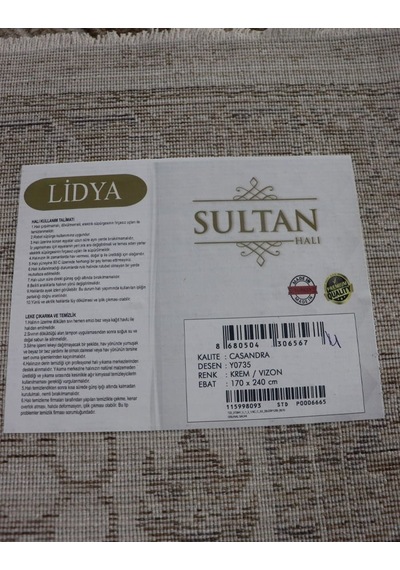 Lidya Toz Tutmaz Ve Tüylenmez Modern Halı - Krem Vizon Y0735 Çok Renkli