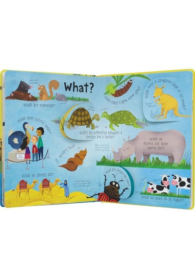 Penguin Books Lift-the-flap Questions and Answers About Animals Board Book Katie Daynes