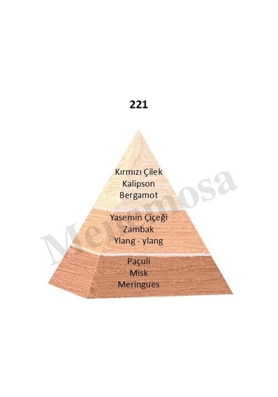 Bargello 221 Kadın 50 ML Parfüm EDP Floral Aromatik