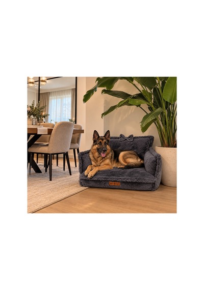 Peluş Fiyonklu Kedi Ve Köpek Koltuğu Tamamen Fermuarlı Çıkarılabilir İç Minder Boncuk Elyaf Kaydırmaz Taban Kedi Ve Köpek Yatağı Antrasit Peluş Gri 1715024309 Peluş Fiyonklu Kedi Ve Köpek Koltuğu Tamamen Fermuarlı Çıkarılabilir İç Minder Boncuk Elyaf Kaydırmaz Taban Kedi Ve Köpek Yatağı Antrasit Peluş Gri 1715024309