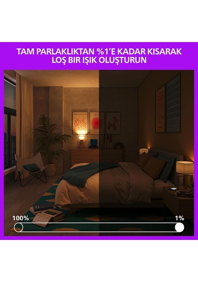 Smart Lighting Led Ampul A60 E27 60w Eşdeğer Rgb 2'li Paket - Google Home, Alexa, Homekit Ve Matter Uyumlu Diğer