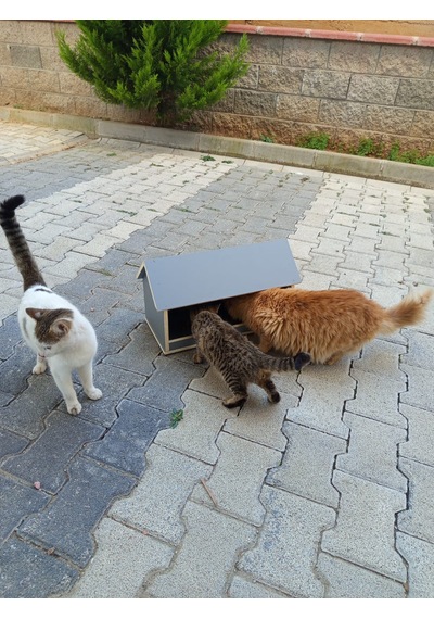 Ahşap Dış Mekan Suya Dayanıklı Kedi Yemlik Mamalık 22x45 Cm