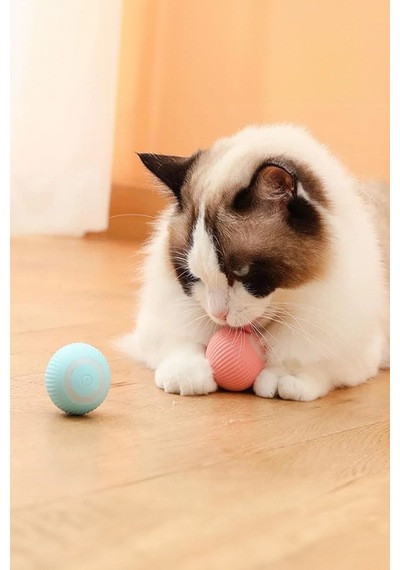 Kedi Köpek Şarjlı Hareketli Oyun Topu Titreşimli Kedi Köpek Yeni Nesil Oyuncak