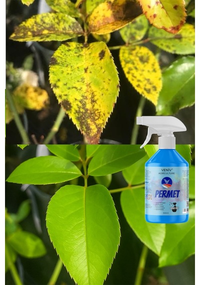 3v Permet & Grener Bitki Bakım Seti-500 Ml Yaprak Temizleyici-mantar Önleyici+bitki Besini 2