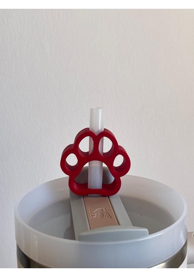 Pati Koruyucu Model Pipet Süsü Termos Uyumlu Quencher İle Uyumlu Kırmızı