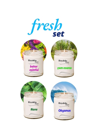 4 Adet Doğal Özel Seri Kokulu Dekoratif Kavanoz Mum 4x210 Cc - Fresh Set - Ryl Çok Renkli