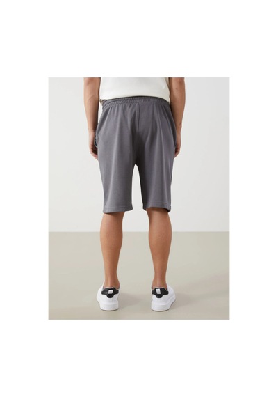 Lc Waikiki Xsıde Rahat Kalıp Erkek Bermuda Şort Dark Grey