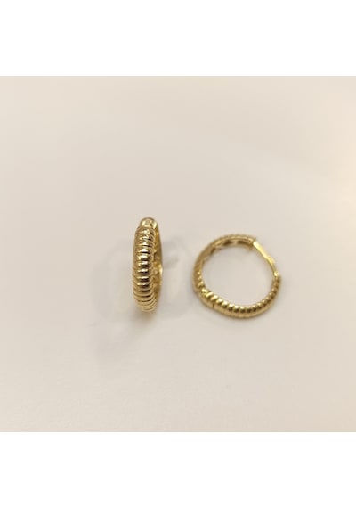 16.2mm Tırtıl Halka Küpe 14 Ayar Altın Hd Videolu Sarı