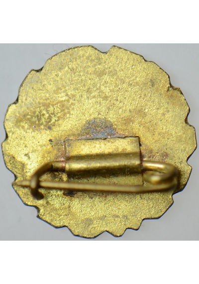 Macaristan Sosyalist Rozet-pin. 15,5 Mm Renkli Mineli.