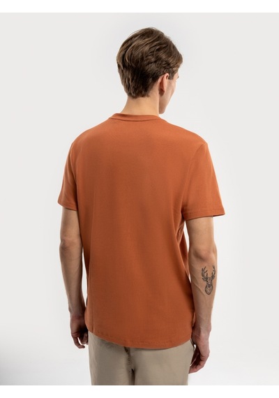 Regular Fit Erkek Tshirt K.kol Gınger