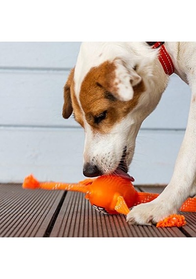 Rogz Flossy Grinz Sesli Köpek Oyuncak 23 Cm Yeşil Renkli