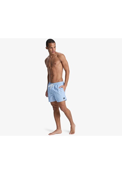 Quiksilver Everyday Deluxe Volley 15 Erkek Şort Mayo Eqyjv04101-bqv0 Mavi Mavi