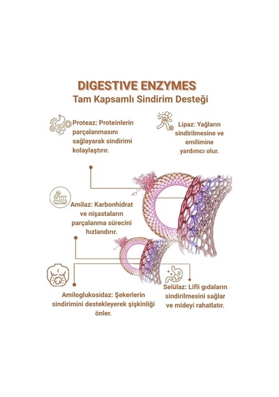 Wellvalens Digestive Enzymes İkili Paket 60 Tablet 5 Li Enzim Kompleksi, Sindirim Desteği