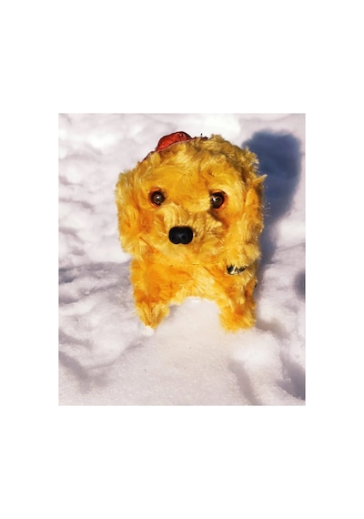 Pilli Ses Çıkaran Hareket Eden Peluş Köpek - Havlayan Köpek Oyuncak - Peluş Köpek Sarı