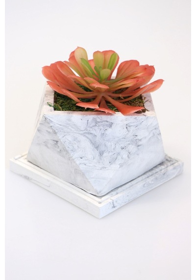 Yapay Çiçek Deposu Tepsili Beton Saksıda Büyük Succulent Tanzimi
