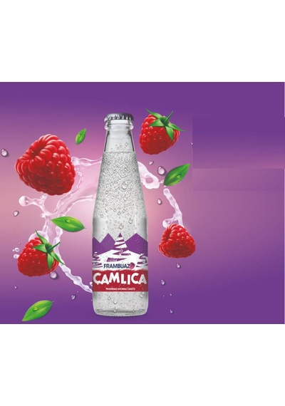 Çamlıca Frambuaz Aromalı Gazoz 200 Ml X 24 Adet