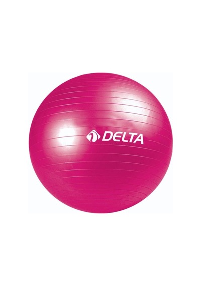 Delta 55 Cm. Pilates Topu + Pompa