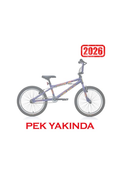 Carraro Rave Bmx Bisiklet Mat Mor Hologram Mor