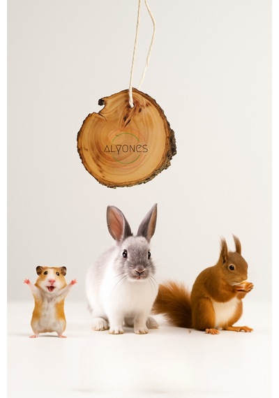 Doğal Ahşap Kemirme Oyuncağı Hamster Ve Tavşanlar İçin Sağlıklı Ve Dayanıklı Oyuncak