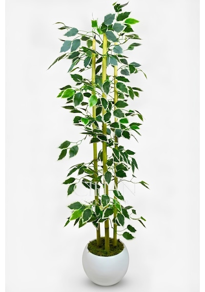 Yapay Alacalı Ficus Ağacı 3 Bambulu 110 Cm 27 33 Beyaz Küre Saksılı