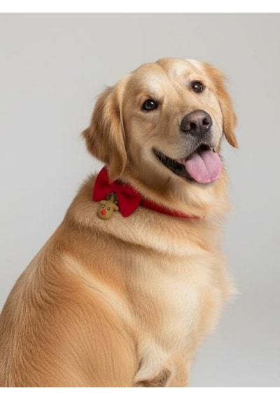 Yılbaşı Geyiği Köpek Papyon Tasması Kırmızı Fiyonk Boyun Aksesuarı Noel Temalı Köpek Süsü Orta Ve Büyük Irklar İçin