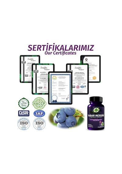 Gökçek Şifa Yaban Mersini (Blueberry Capsule) 60 Kapsül