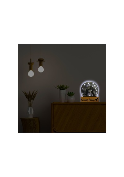 Led Işıklı Pleksi Dolunay Kişiselleştirilebilir Dekoratif Biblo Harvey Kediler Anahtar Askılığı Gri - 737322722 Gri