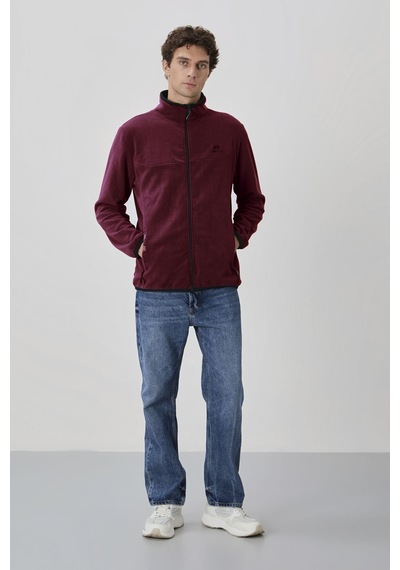 Tommy Life Erguvan Yazı Nakışlı Dik Yaka Fermuarlı Standart Kalıp Erkek Sweatshirt Polar - 87992 Mor