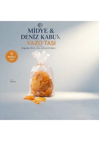Renkli Mix Midye Deniz Kabuk Vazo Taşı 1 Kg