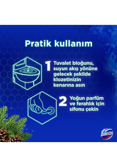 Wc Blok 5'li Güç Çam Ferahlığı 600 Sifona Kadar Güçlü Temizlik 110 Gr İkili Paket