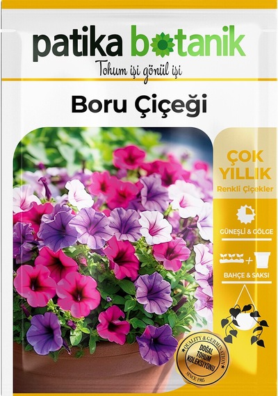 Patika Botanik 100 Adet Boru Petunya Petunia Çiçek Tohumu