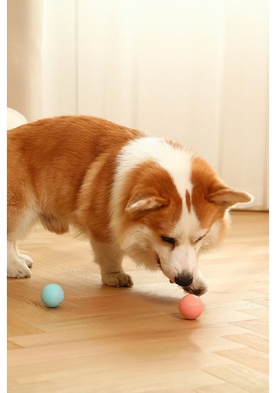 Kedi Köpek Şarjlı Hareketli Oyun Topu Titreşimli Kedi Köpek Yeni Nesil Oyuncak