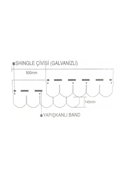 Shingle Çatı Kaplama Çivisi 2,5 CM - 1 KG
