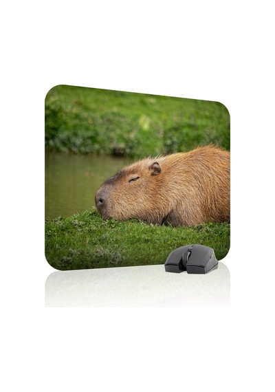 Capybara Kaymaz Dikişli Kauçuk Oyuncu Mousepad V1 - 48x40 Xl Gaming Mouse Pad Fare Altlığı