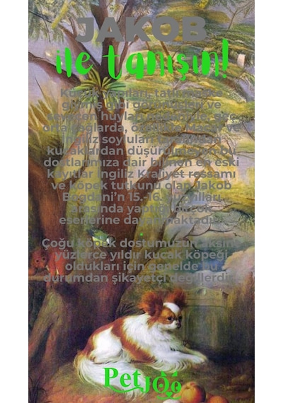 Petjoo 8.Jakob Yeşil-Gri Qr'lı Köpek Künyesi