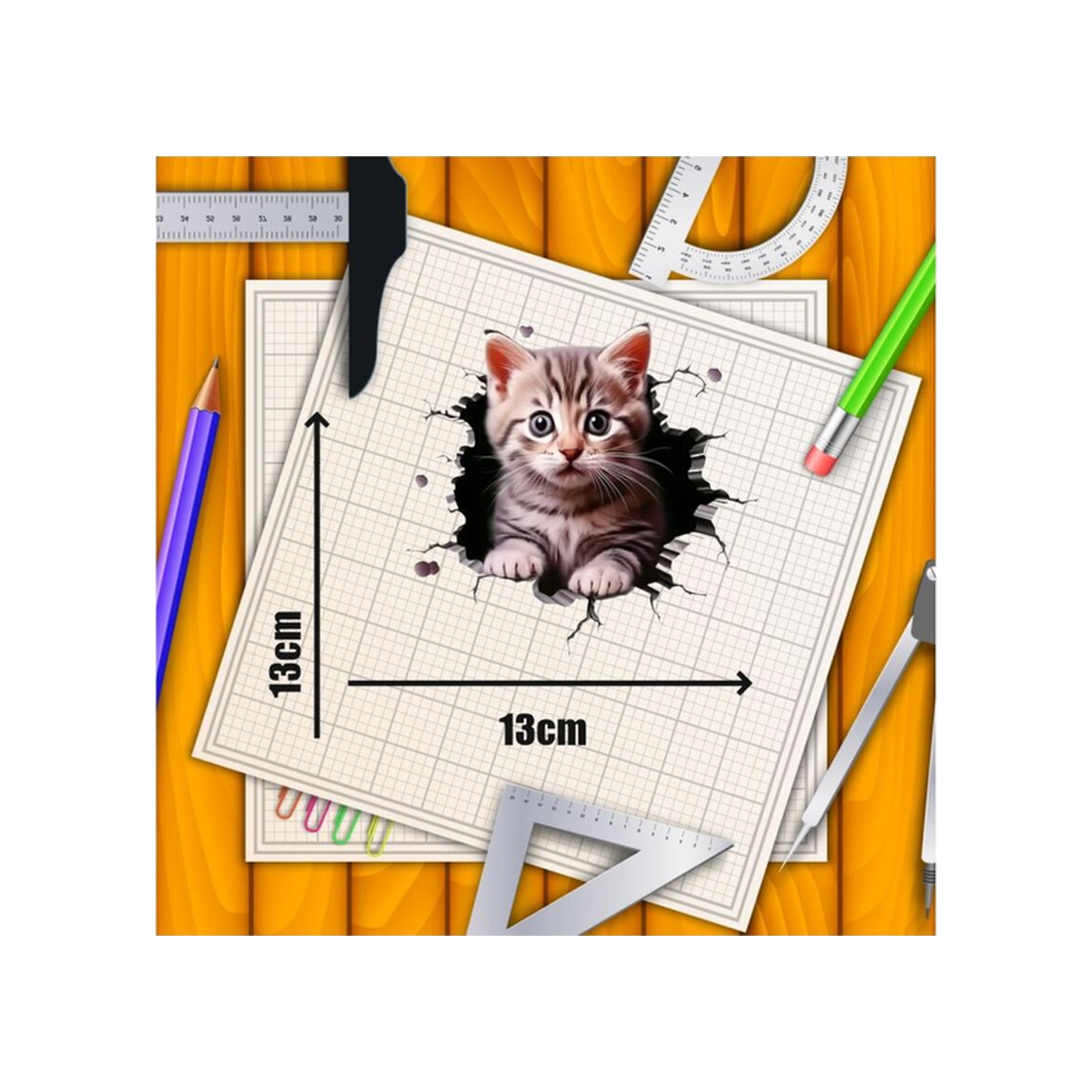 3d Kedi Motorsiklet,cam, Laptop, Kask, Araba Sticker 13x13 Cm