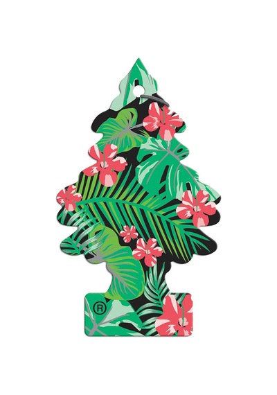 Car Freshner Asma Koku 12'li Orman Ateşi